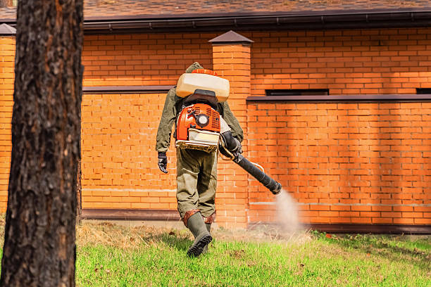 Trusted Bed Bug Control service in Lansing, IL - Nex Pest Control